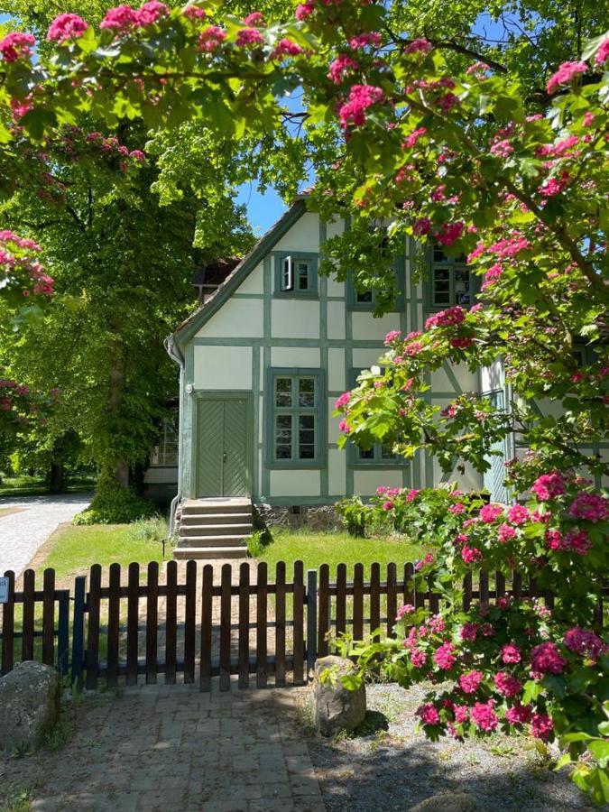 Jagdschloss Friedrichsmoor นอยชตัดท์ เกลเวอ ภายนอก รูปภาพ